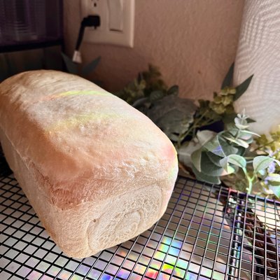 Yeast White Bread 