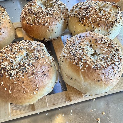 Sourdough Everything Bagels 