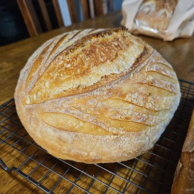 Sourdough Bread Round Loaf