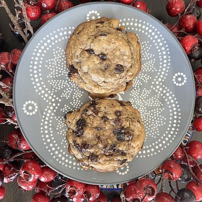 Sourdough Oatmeal Raisin 