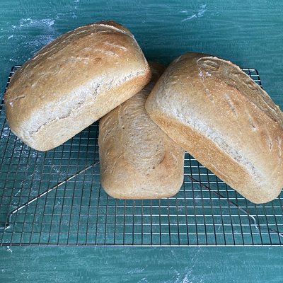 White Sourdough Sandwich Loaf