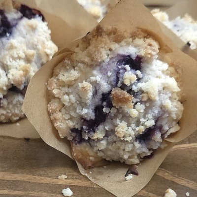 Sourdough Blueberry Muffins 4 Pack