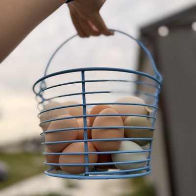 Farm Fresh Free Range Duck Eggs (dozen) 
