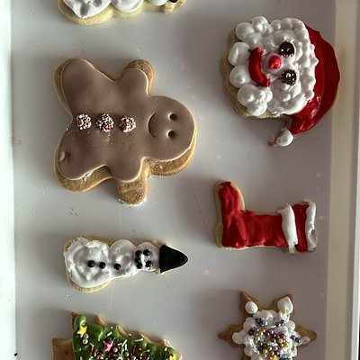 Kids Christmas Cookie Decorating  Kit