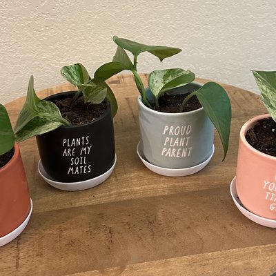 🪴Fun Mini Planter