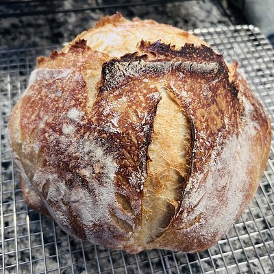 Plain Sourdough Round Loaf