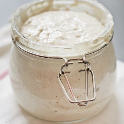 Sourdough Starter