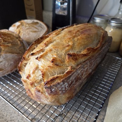 Large Sourdough Loaf