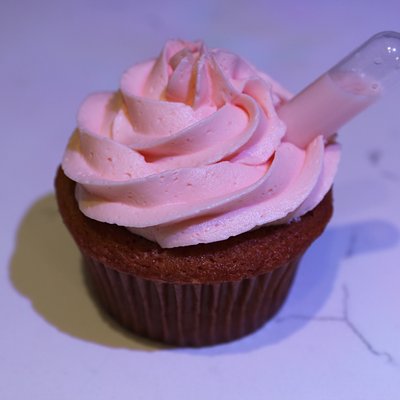 Strawberry Baileys Cupcakes (Dozen)