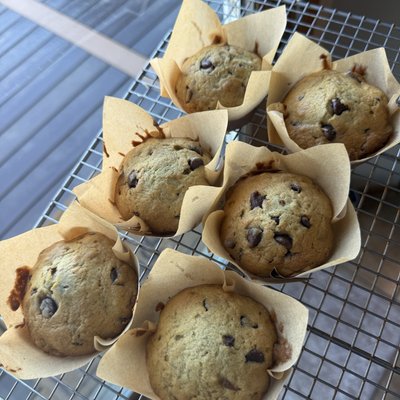 Banana Chocolate Chip Muffins