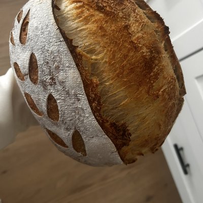 Classic Sourdough Oval 