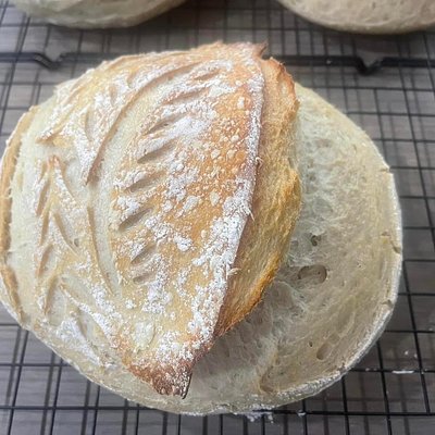 Sourdough - BASIC BLONDE/TRADITIONAL