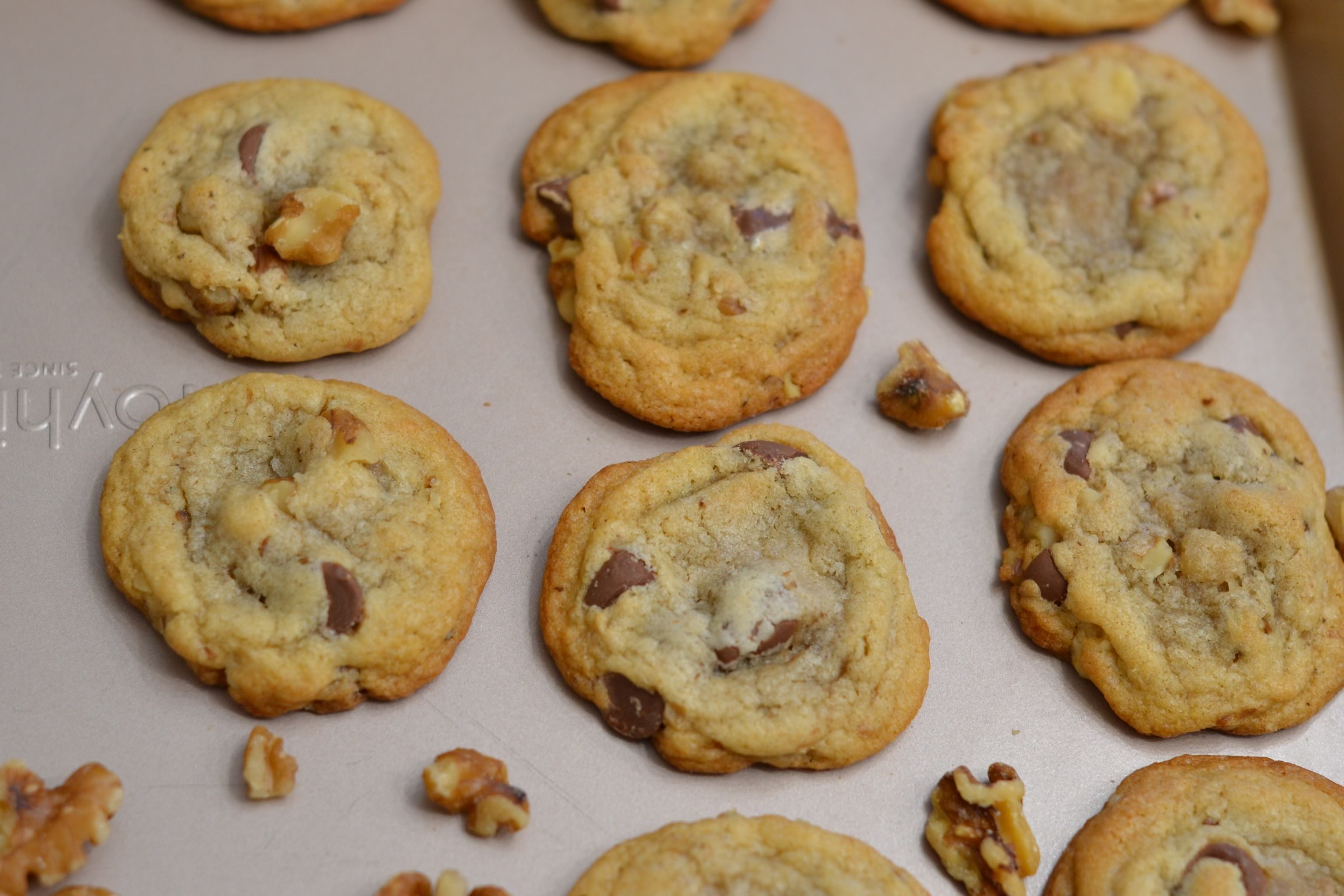 Chocolate Chip Walnut Cookie