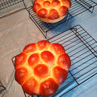 Japanese Milk Rolls
