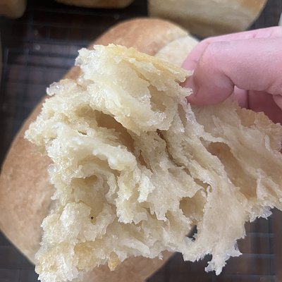 Butter Sourdough (Viral Croissant Bread) 