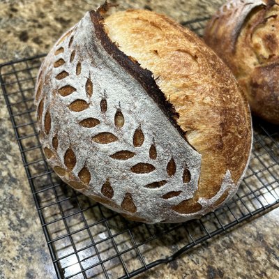 Plain Jane (original Loaf)