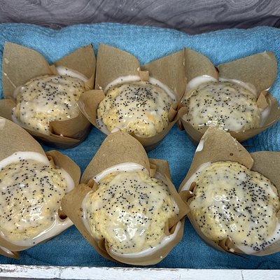 6 Lemon Poppy Seed Muffins