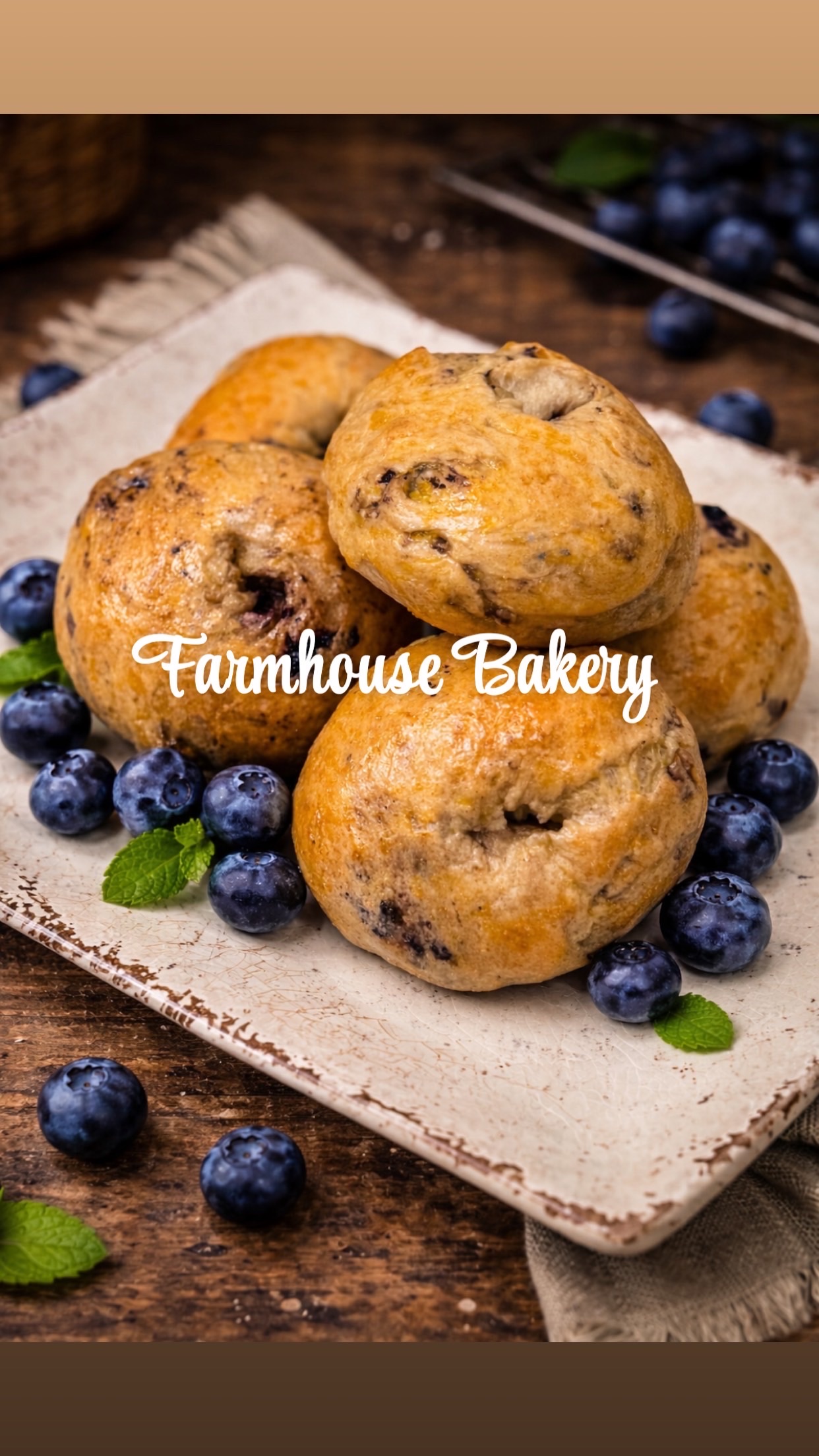 Blueberry Bagels 