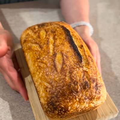 Sourdough Loaf Wheat Bread 