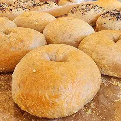 Plain Bagel