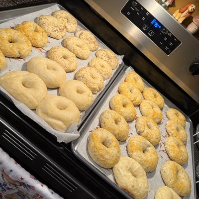 Special Order Bagel (4 Pack)