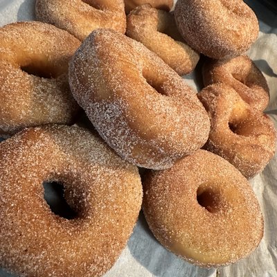Cinnamon Sugar Donut
