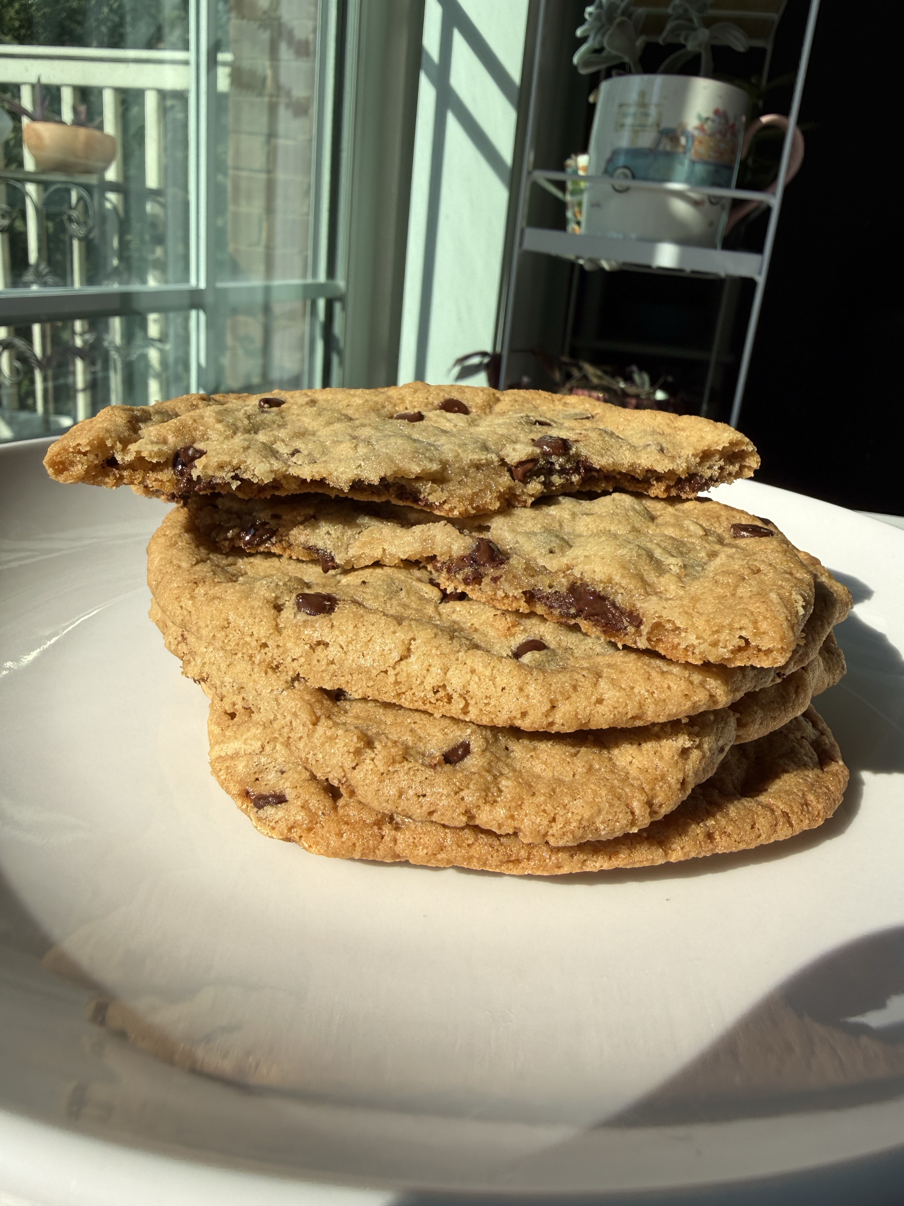 Chocolate Chip Cookie (single)