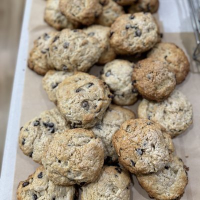 Chocolate Chip Scones - Dozen