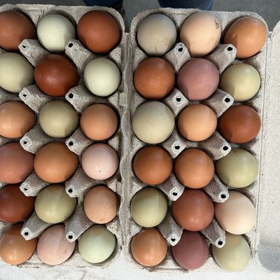 Eggs