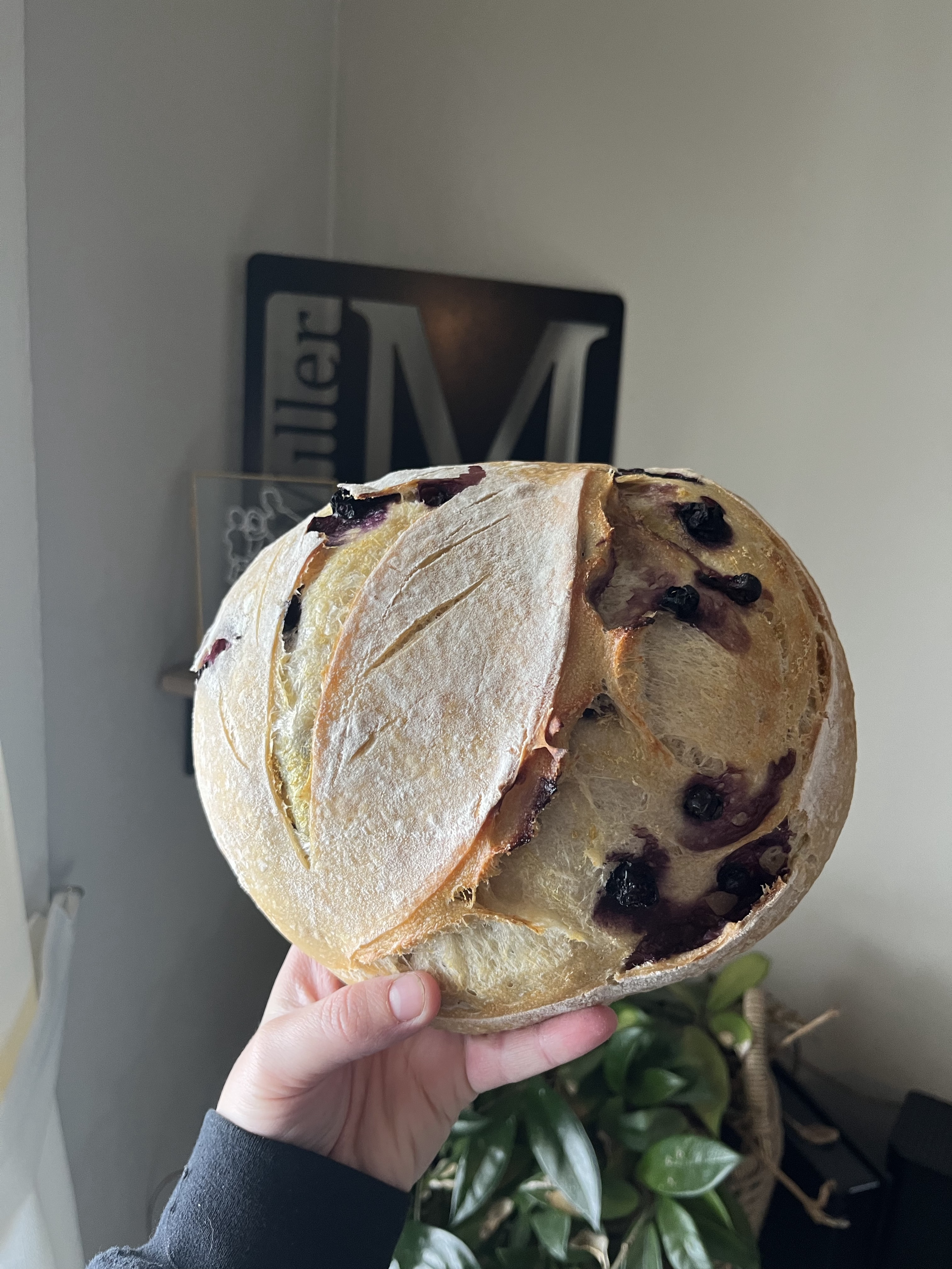 Mini Lemon & Blueberry Sourdough Loaf 
