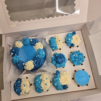 Birthday Bento Cake & Cupcakes 