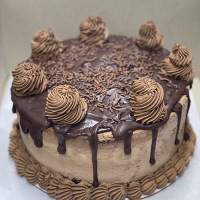 Premium Party Cakes 