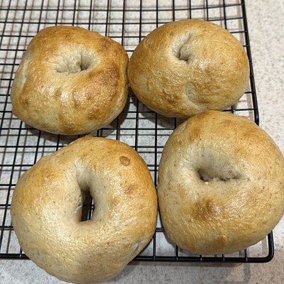 Plain sourdough Bagel