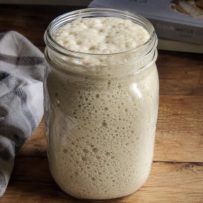Sourdough Starter LIVE & ACTIVE