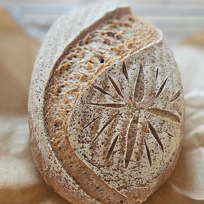Gluten Friendly Garlic Sourdough 