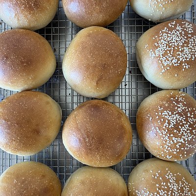 Burger/Dinner Buns