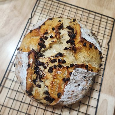 Chocolate Chip