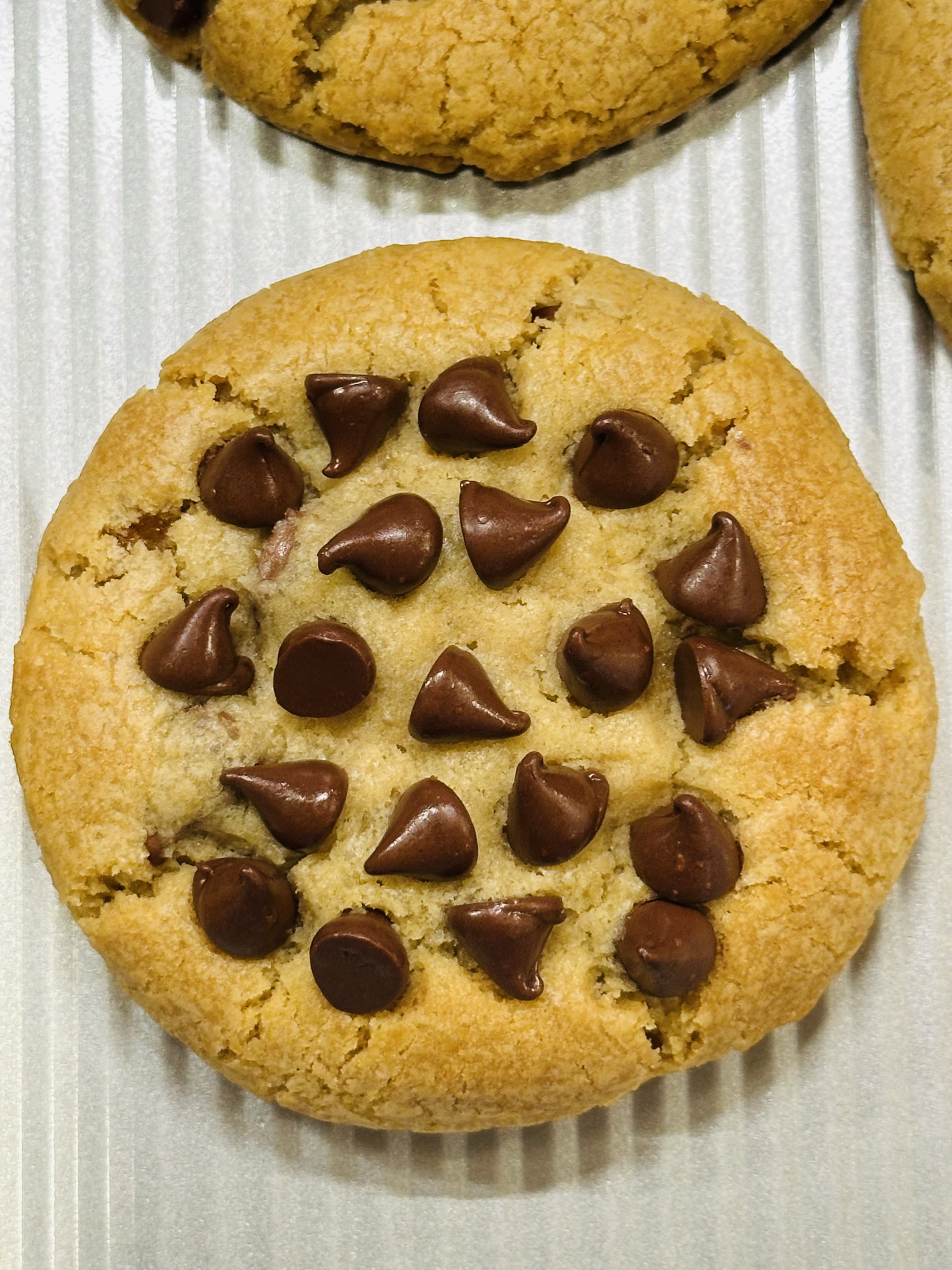 Chocolate Chip