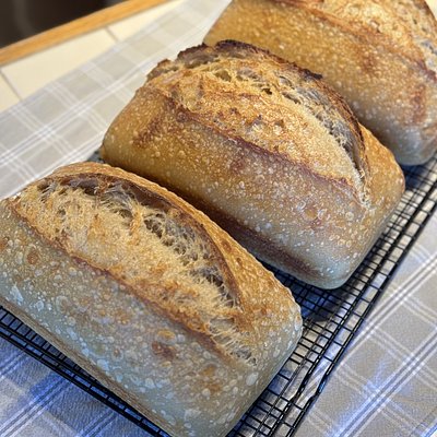 Loaf-pan Sourdough