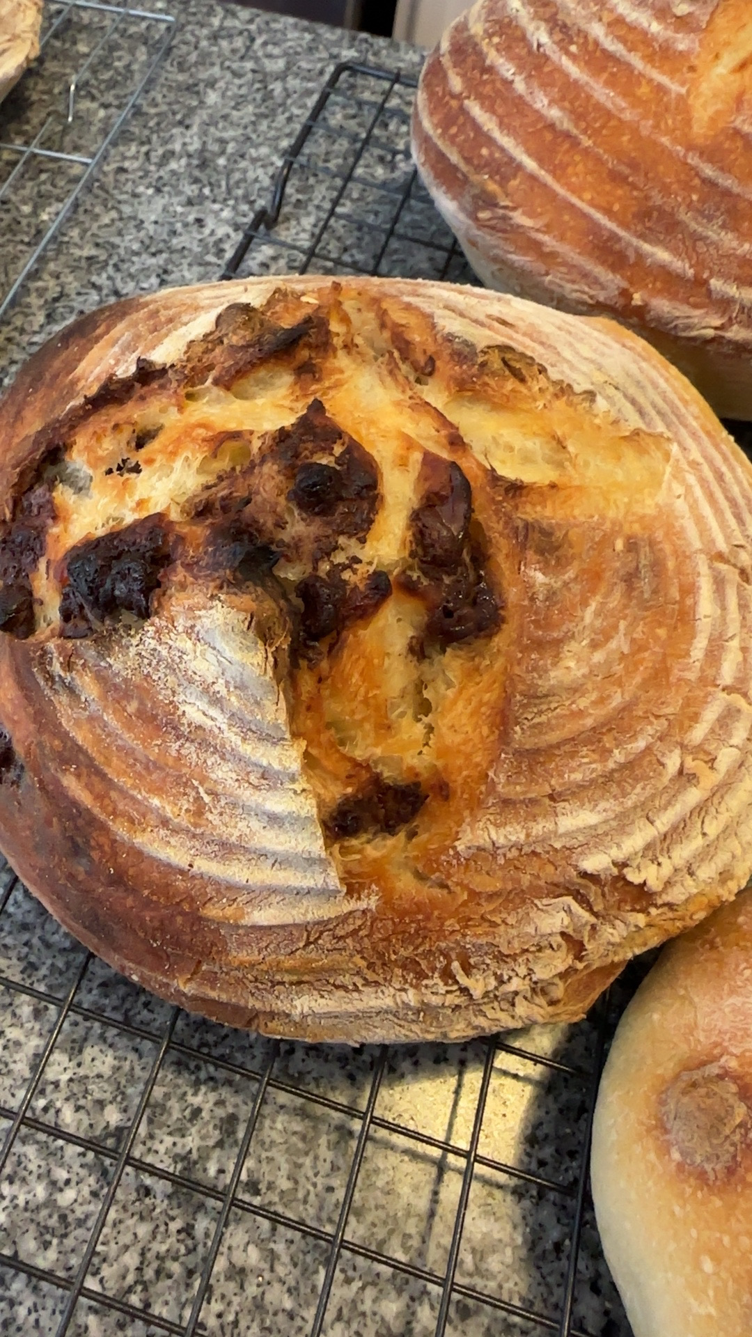 Choco Walnut Sourdough 