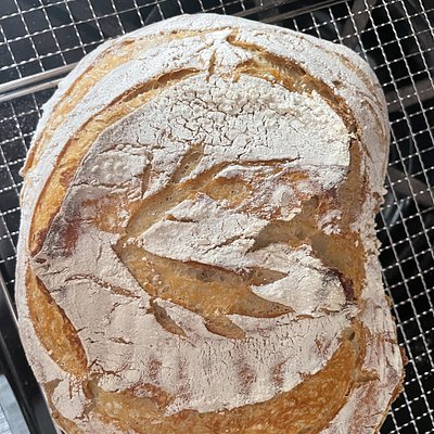 Sourdough Bread Bowl 