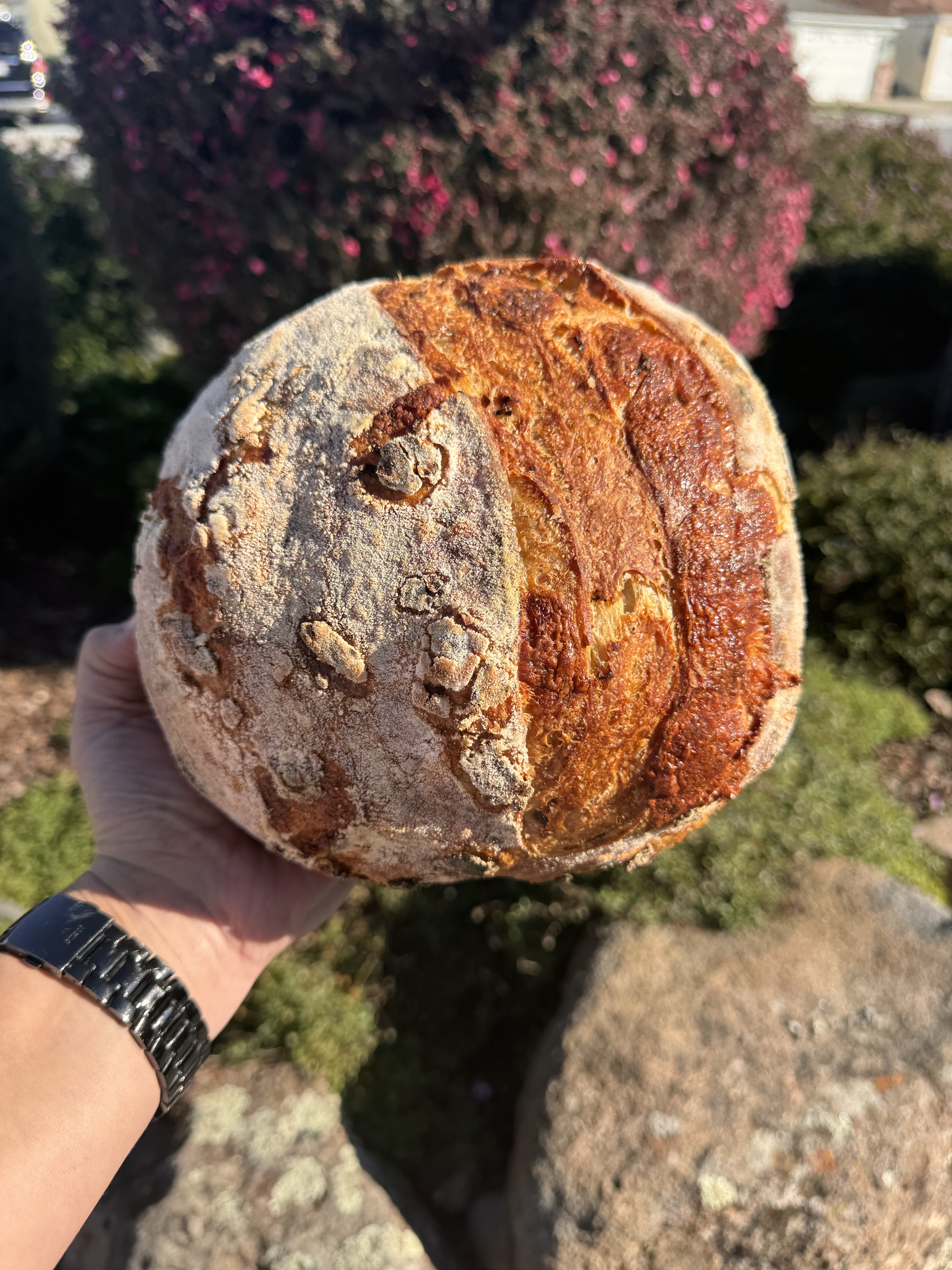 Roasted Jalapeño & Aged Cheddar Sourdough
