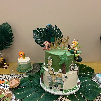 Wild One Cake