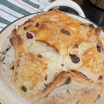 Cranberry Walnut Artisan Loaf
