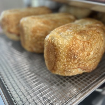 Classic Plain Sourdough