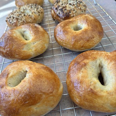 Half Dozen Plain Sourdough Bagel