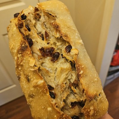 Cranberry Walnut Sourdough Bread 