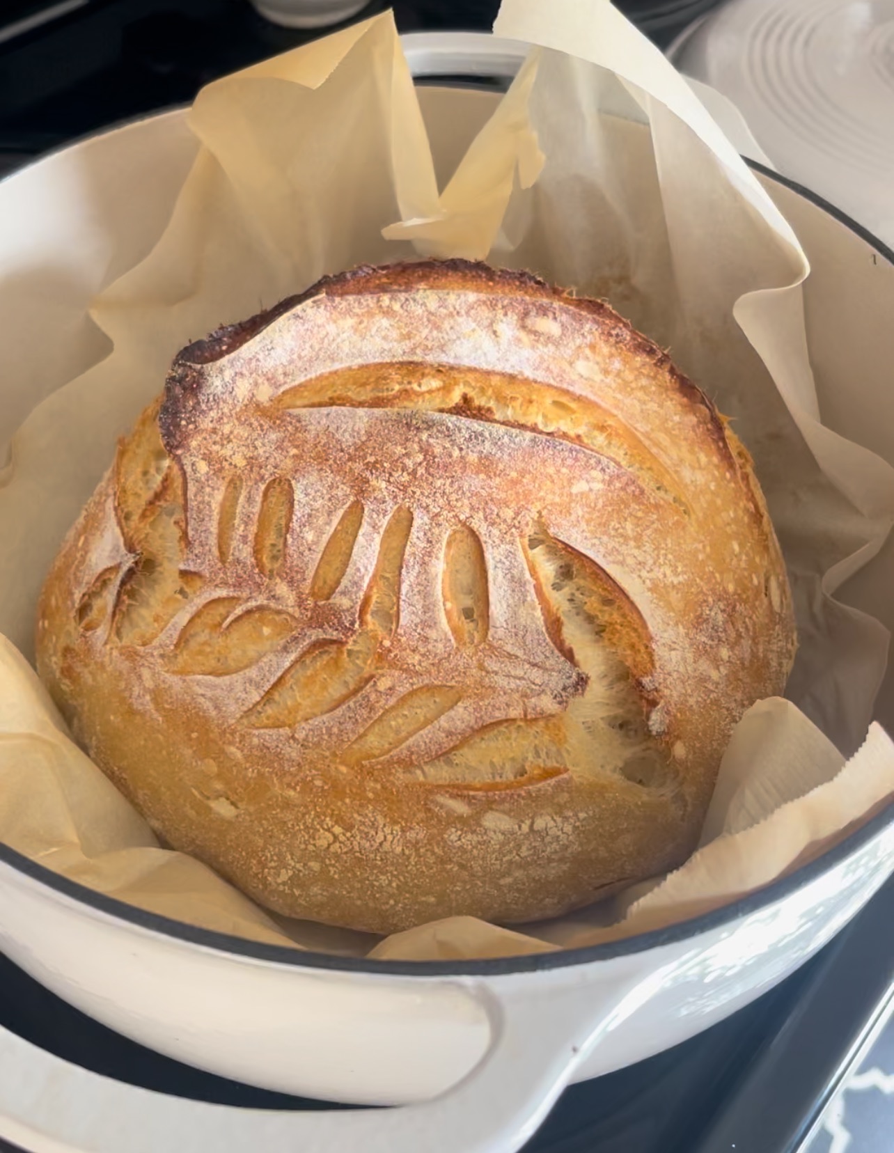 Artisan Sourdough Bread 