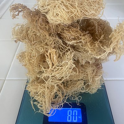 2 Oz Dry Irish Sea Moss