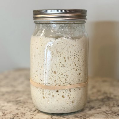 Active Starter 